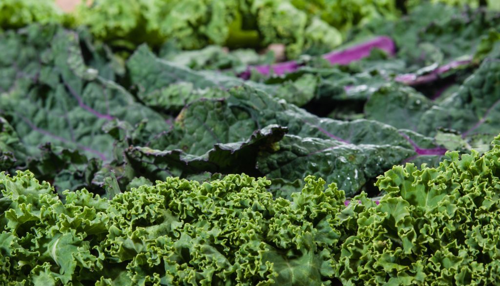 Fotolia_78057787_Subscription_Monthly_M-1024x681 Lugo Nutrition Natural Sources for Collagen Production